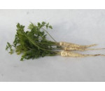 Petržel kořenová BIO 0,5 kg
